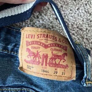 Levi's Men's Blue Jeans